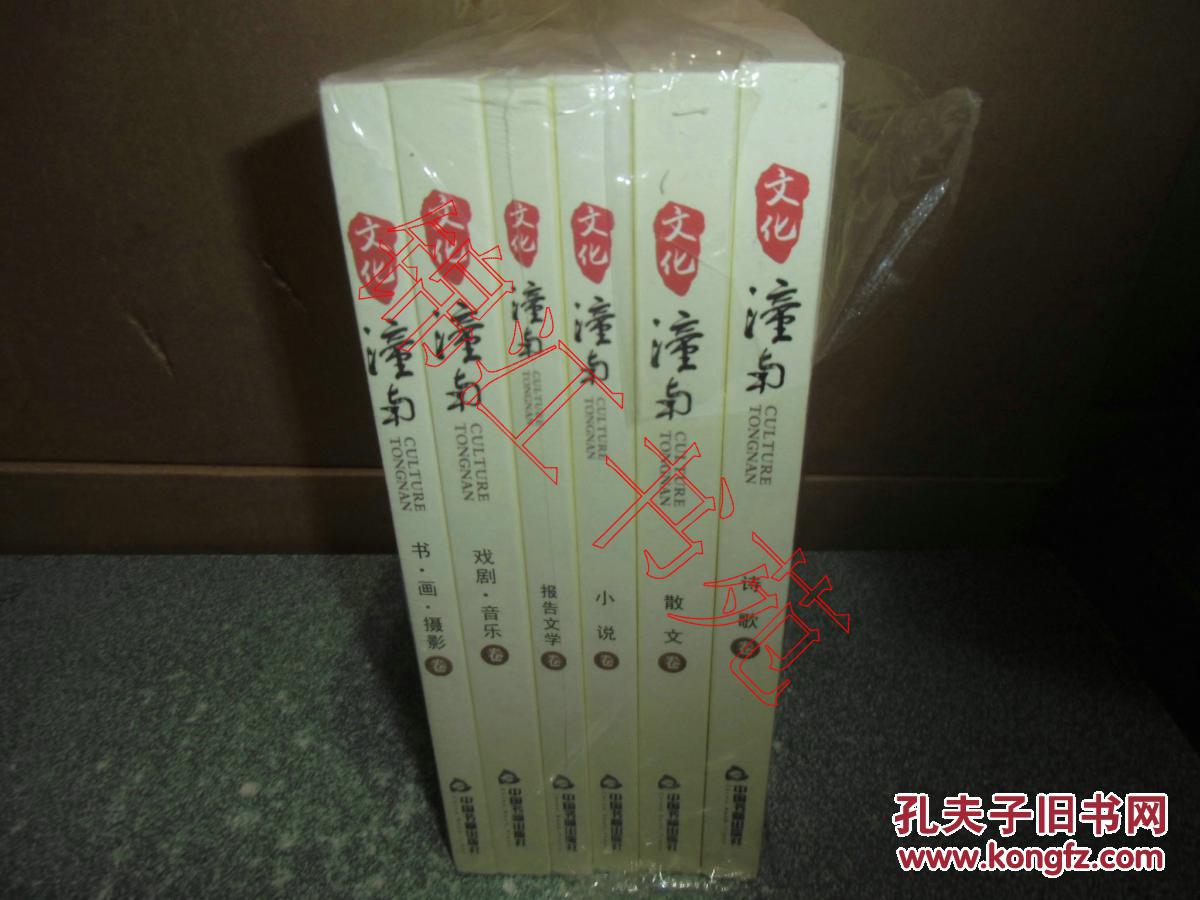 文化潼南（诗歌、散文、小说、报告文学、戏剧音乐、书画摄影）（全套6本合售）