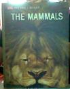 THE MAMMALS
