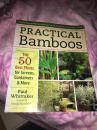 PRACTICAL  Bamboos