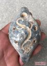 老陶器制品 乐埙 古代乐器