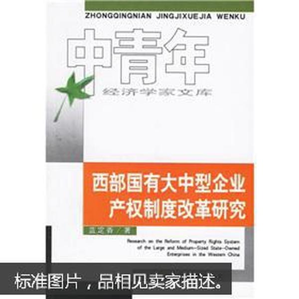 西部国有大中型企业产权制度改革研究