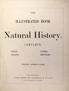 非常珍稀罕见【 自然历史：图鉴动物】32幅全页彩色木雕版画，皮面16开