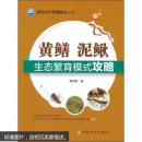 现代水产养殖新法丛书：黄鳝、泥鳅生态繁育模式攻略