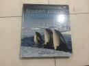 Frozen Planet