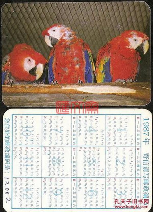 1987年贺年片日历卡-年历卡 【三只小鸡血石红鹦鹉】 请写邮政编码