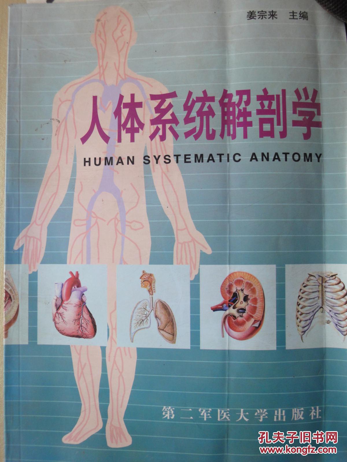人体系统解剖学