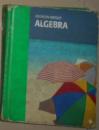 英文原版 Addison Wesley Algebra by Addison Wesley 著