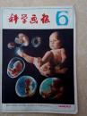 科学画报198206