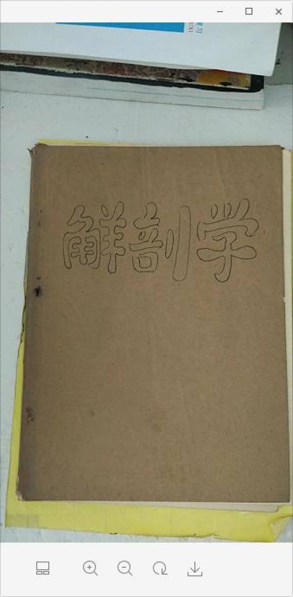 人体解剖学图谱