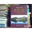 新郑年鉴 2008 【原书正版】 仅印1600册 16开厚精装