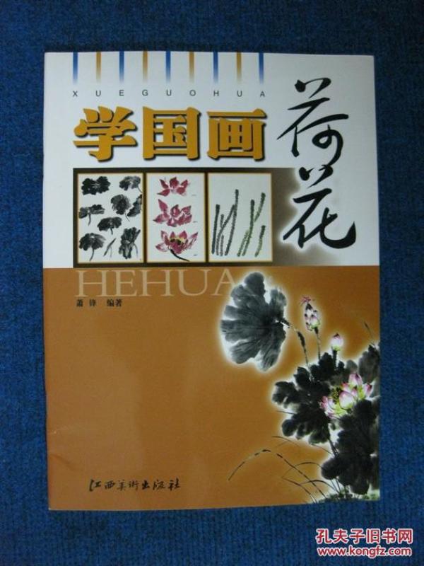 学国画 • 荷花