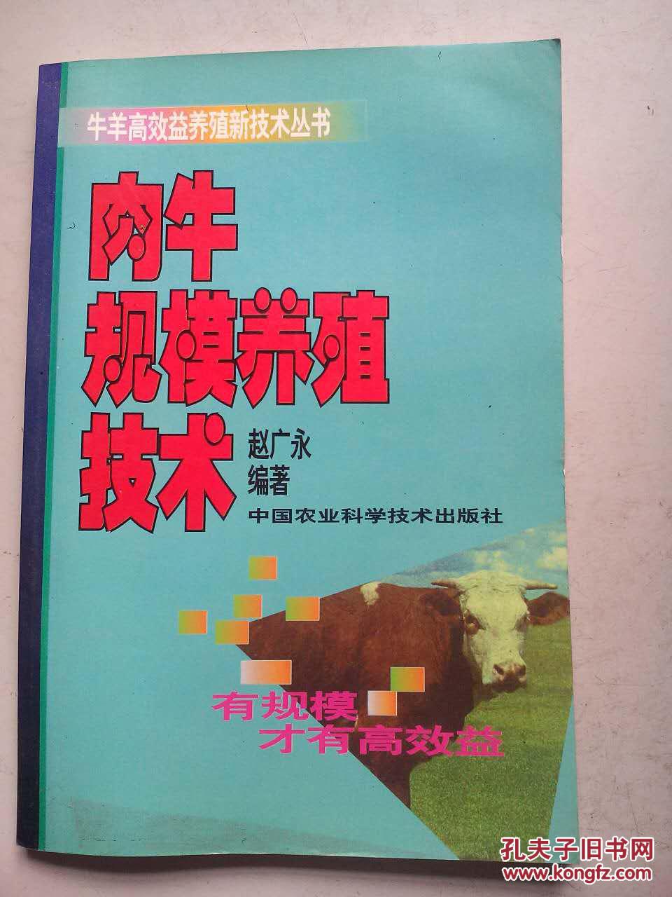 肉牛规模养殖技术