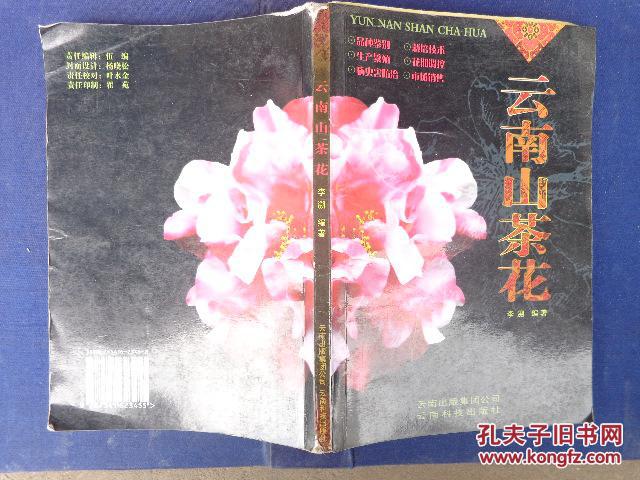 云南山茶花