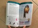 Compact Guide to Atlantic Canada Birds 加拿大鸟类图鉴