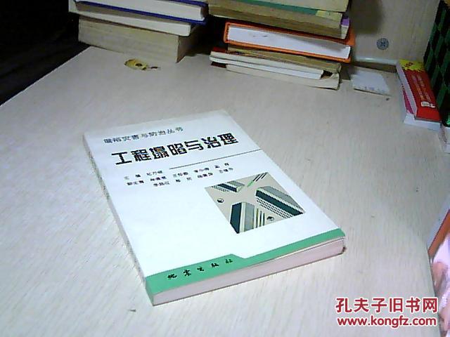 工程塌陷与治理 【塌陷灾害与防治丛书】