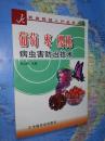 葡萄 枣 樱桃病虫害防治技术  本书介绍葡萄、枣和樱桃的病虫害防治技术。分三部分：“葡萄病虫害综合防治技术”、“冬枣病虫害综合防治技术”、“ 樱桃病虫害综合防治技术”。