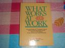 WHAT WORKS AT WORK LESSONS FROM THE MASTERS 《从大师的工作经验中可以学到什么》，英文版，书角磨损 稍有水印