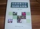 山东农业大学校园树木图鉴【全新未拆封】