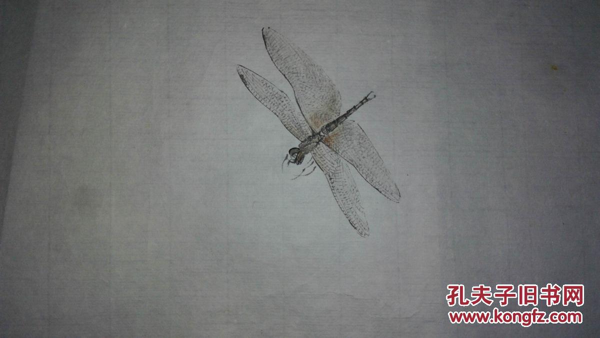 手绘真迹国画：无款20250819-10四尺 荷花蜻蜓图