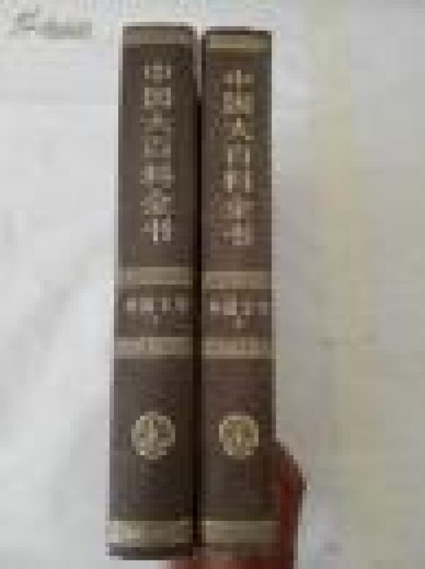 中国大百科全书：外国文学（全两册）