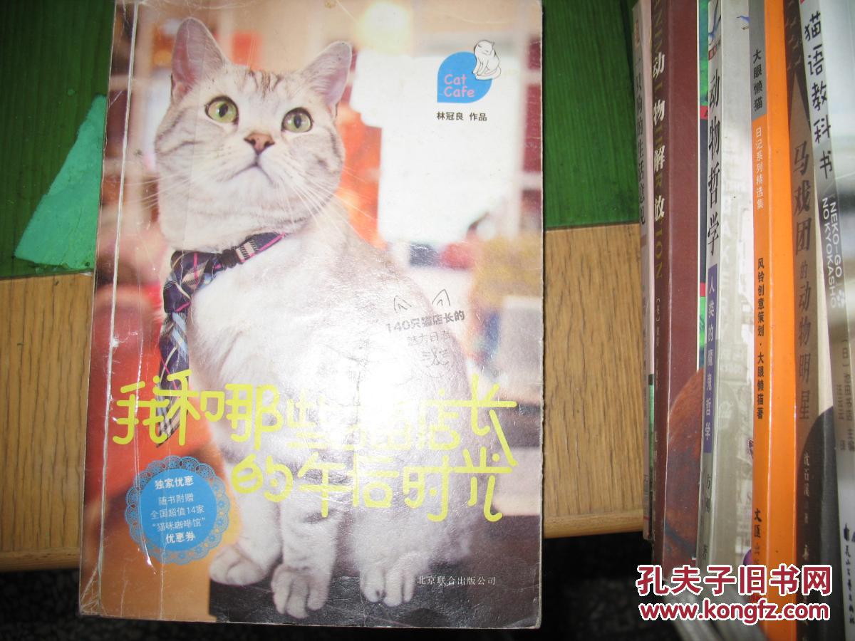 我和那些貓店長的午后時光