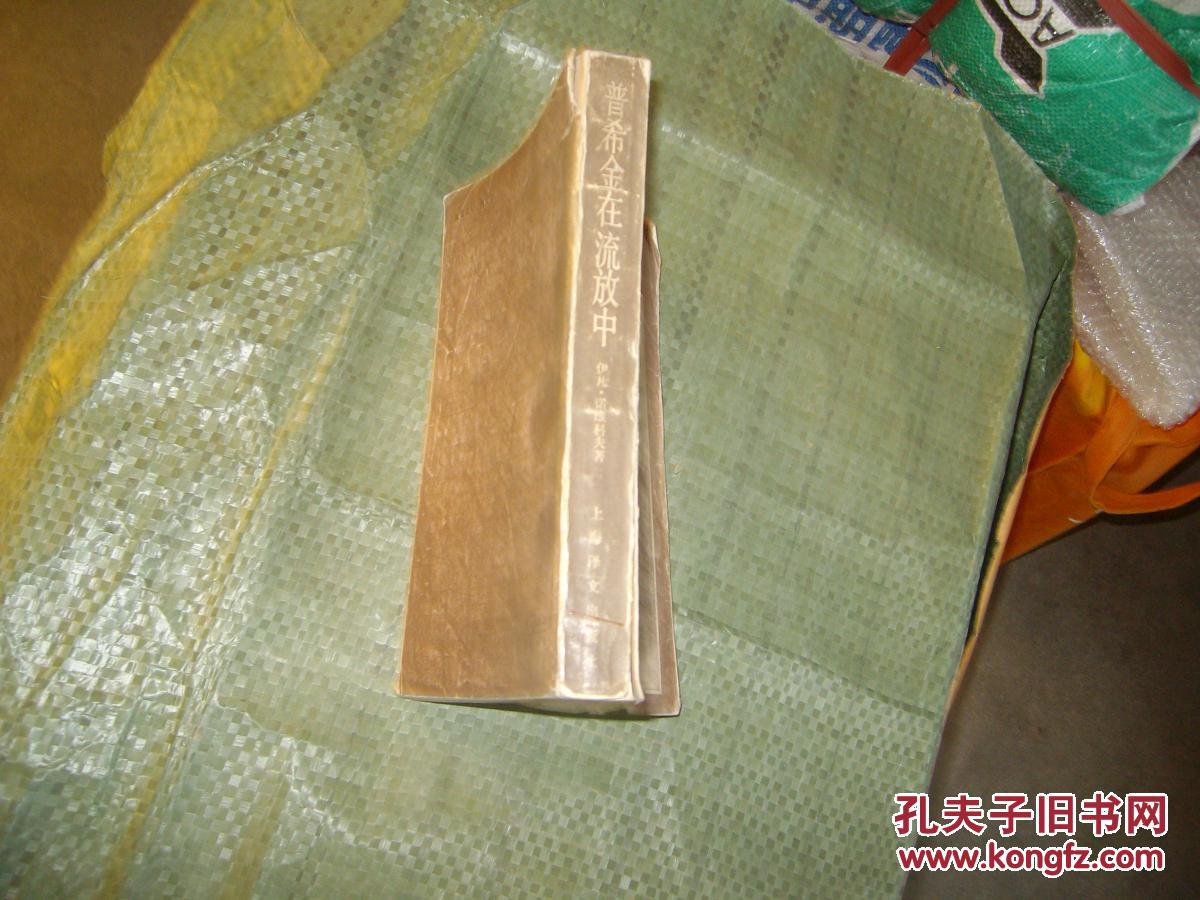 普希金在流放中