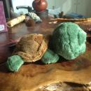 纪念品绿毛龟(澳大利亚）