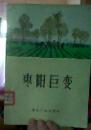 枣阳巨变
