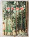 绿化祖国 第五集