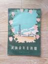 河南青年在新疆