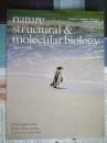 Nature structural & molecular biology 2013/04 外文原版生物学杂志