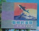 少儿彩色绘画类连环画：聪明的海豚.戴铁郞绘
