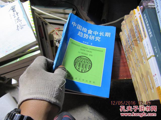 中國(guó)糧食中長(zhǎng)期趨勢(shì)研究 1048