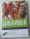 新农村创业致富金钥匙丛书：高效养鸡技术