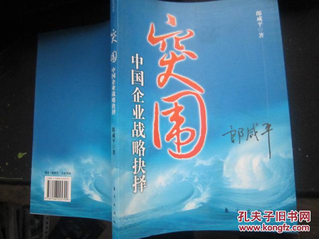 突围：中国企业战略抉择