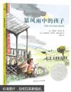 美国凯迪克银奖作品：暴风雨中的孩子 [3-12岁]