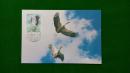 MC18鹤（1995—15）极限明信片