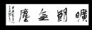 中书协理事、安徽书协副主席王亚洲先生精彩草书横幅《旷朗无尘》【34*136厘米、软片、特惠】