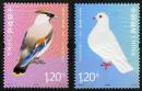 2012-5 中国鸟与和平鸽
