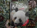 Zoo Animals in color