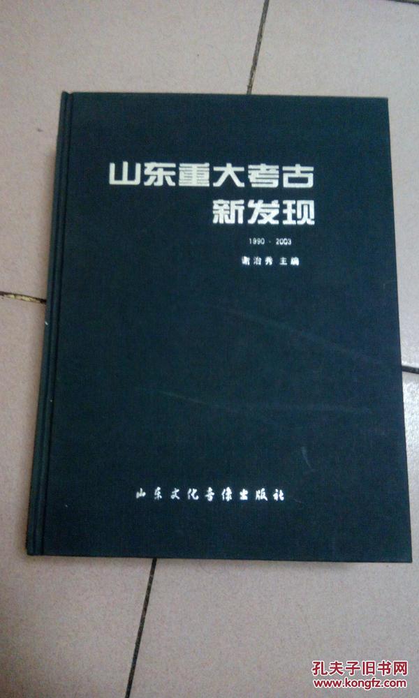 山东重大考古新发现--1990-2003【附一张光盘·精装】  b010-2