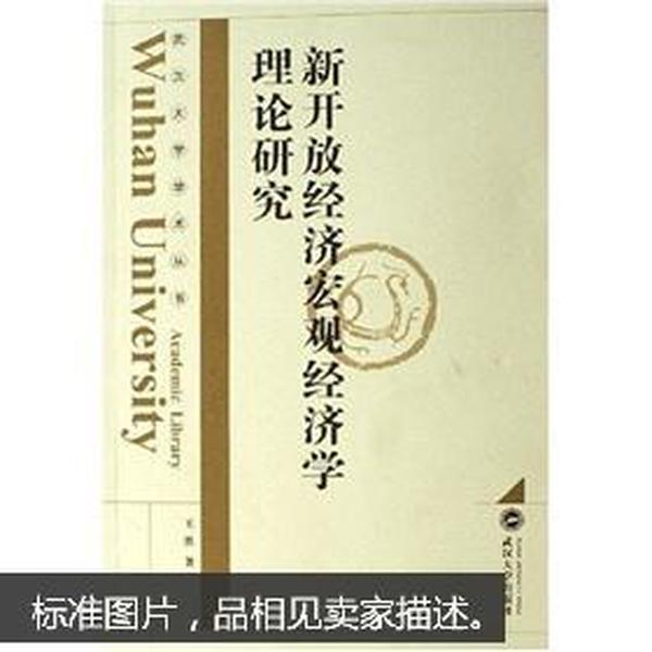 新开放经济宏观经济学理论研究 王胜 武汉大学出版社