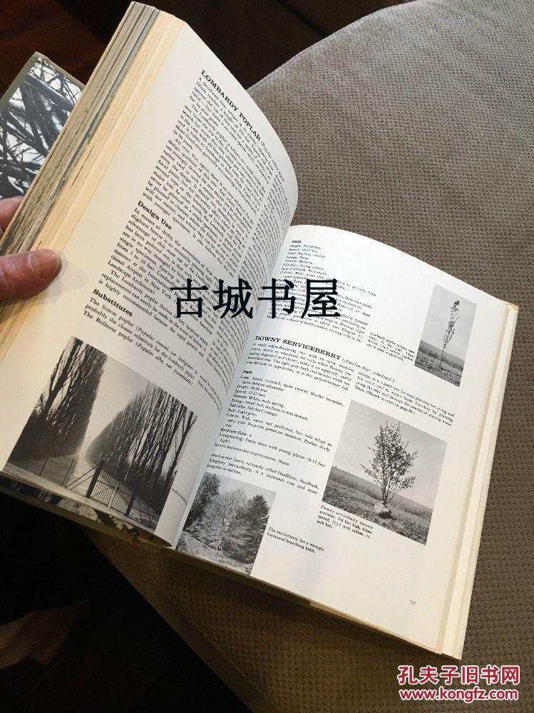 Robert Zion著《 树木建筑与景观》大量艺术图，1968年出版