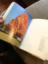 Robert Zion著《 树木建筑与景观》大量艺术图，1968年出版