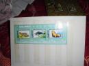 朝鲜邮票 邮票 鱼类 海豹 小型张 小全张 外国邮票 亚洲邮票 朝鲜官方发行珍稀鱼类海豹小全张一枚保真出售