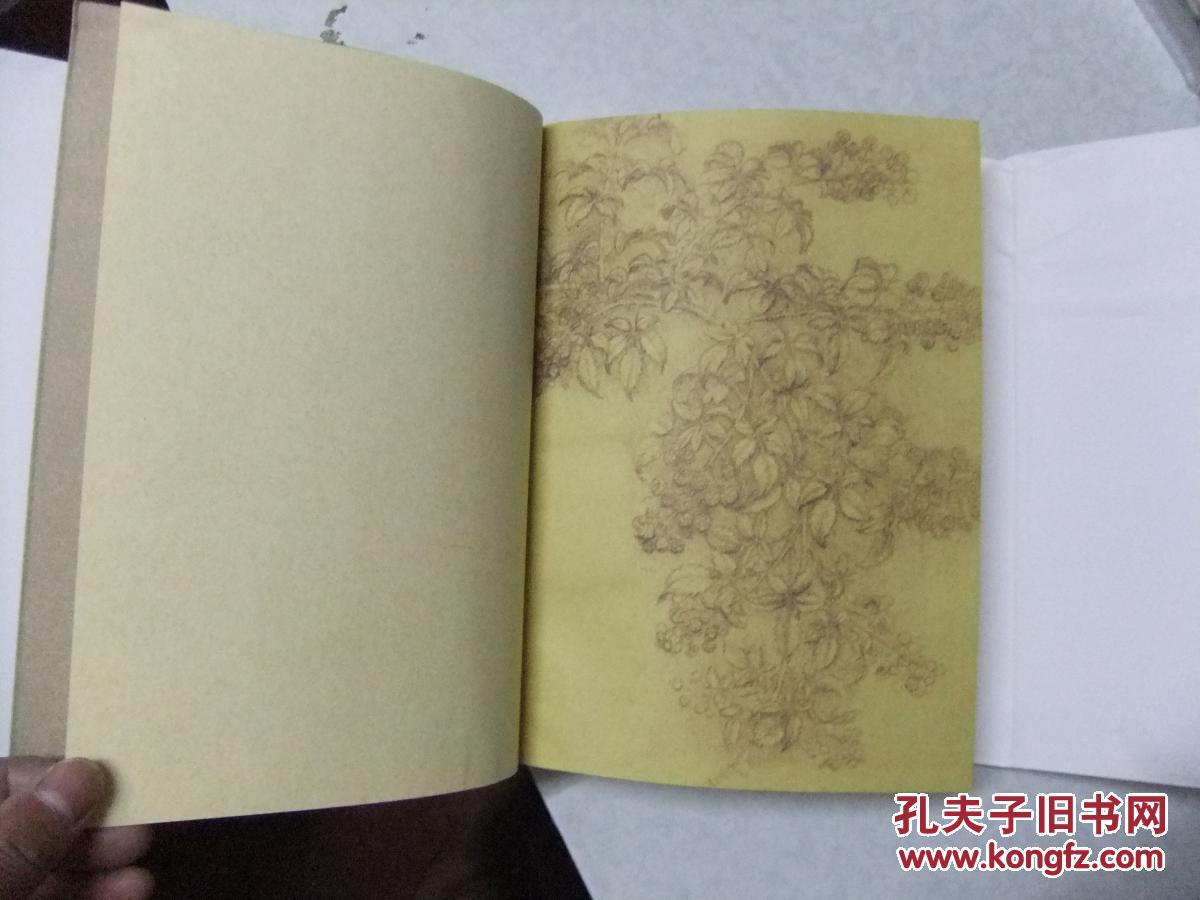 花境