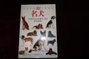 《名犬》，自然珍藏图鉴丛书