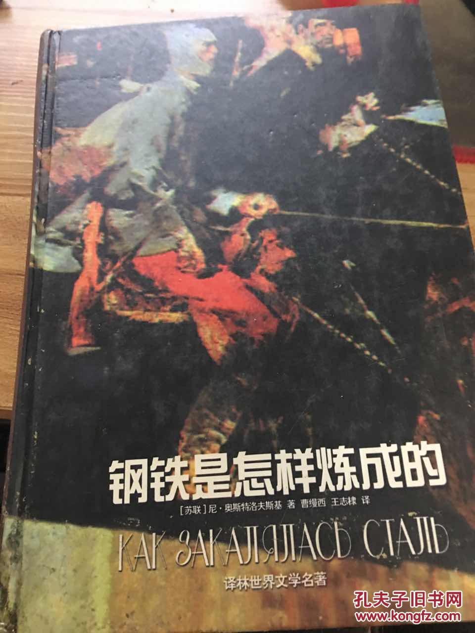 钢铁是怎样炼成的 （名著译林）