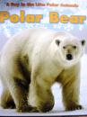 英文原版    少儿绘本百科   A day in the Life: Polar Animals: Polar Bear       北极熊