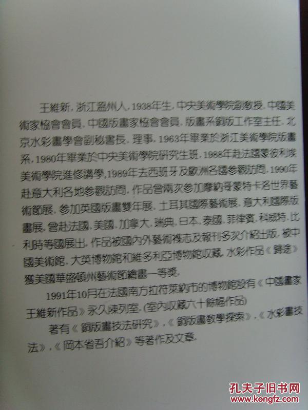 王维新：《中国当代艺术家画库-王维新》